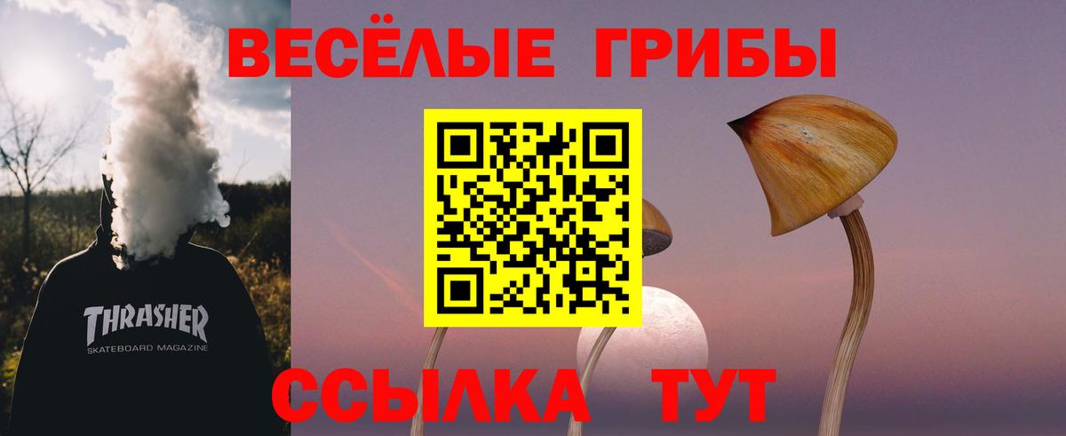 Ржев  Галлюциногенные грибы мухоморы  Вход с VPN  Псилоцибиновые грибы мухоморы 