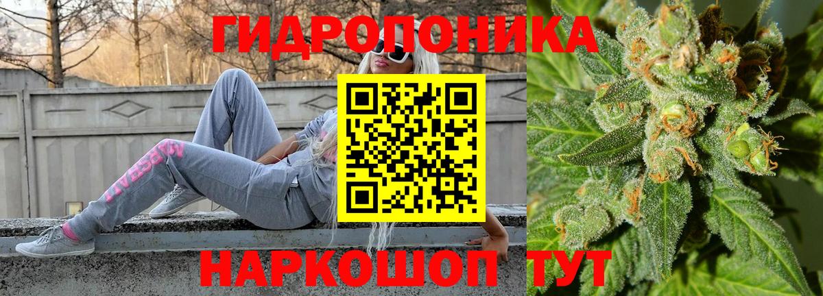 Канабис ГИДРОПОН Ржев